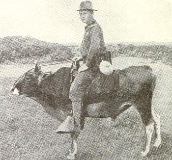 Member of the 18th U.S. Infantry riding a bull